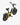 OTIDA AZ20 Step-thru Electric bike for adults commuter