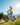 OTIDA AZ20 Step-thru Electric bike for adults commuter 