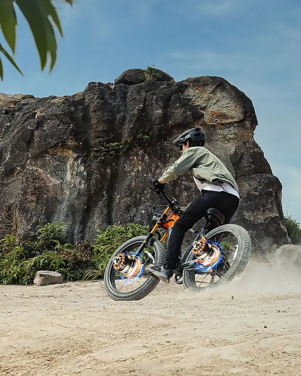 OTIDA RX50 Peak 2000W Fat Tire Dual Motor Electric Bike
