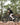 OTIDA X2 3000W Full Suspension Dual Motor Electric bike 